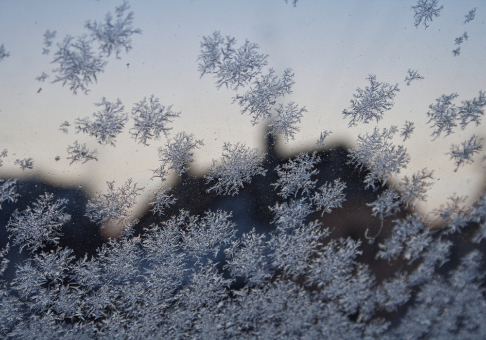 Thawing the Frozen Middle: A Leader’s Guide to AI Change Management