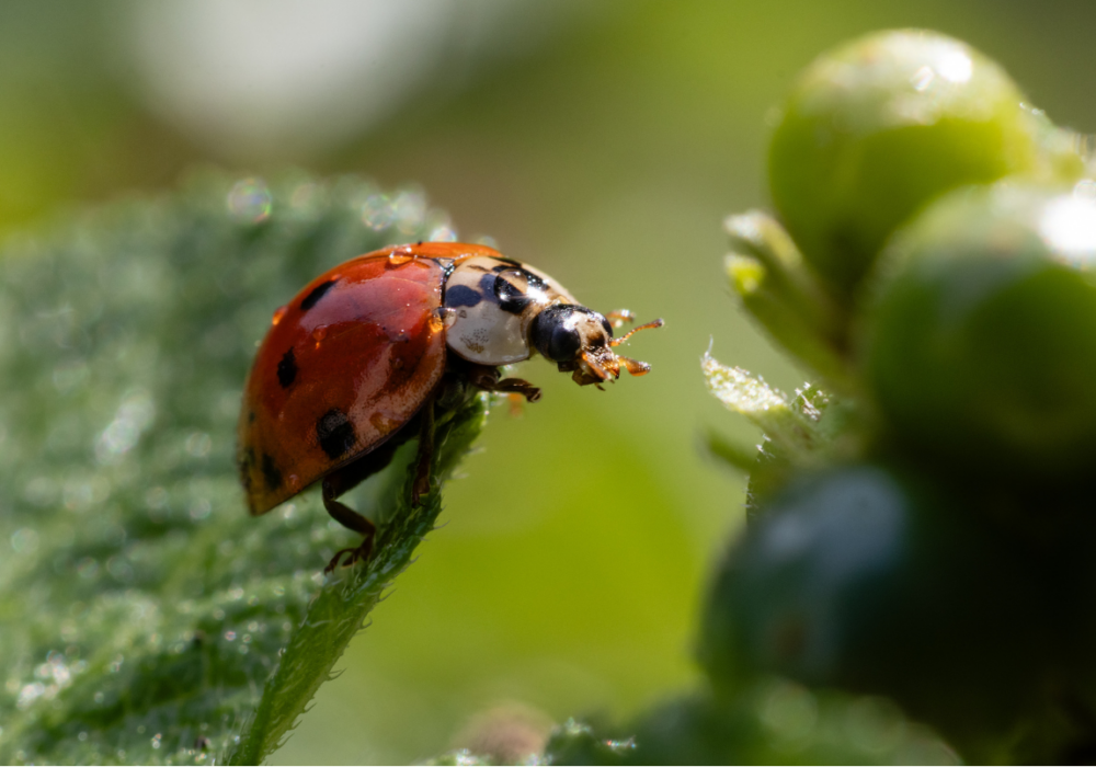 How Just Move In split the work between AI and the team